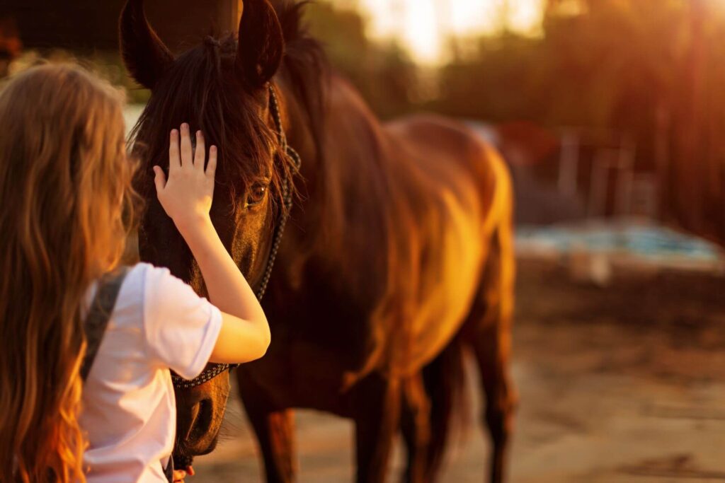 Benefits of equine assisted therapy in rehab